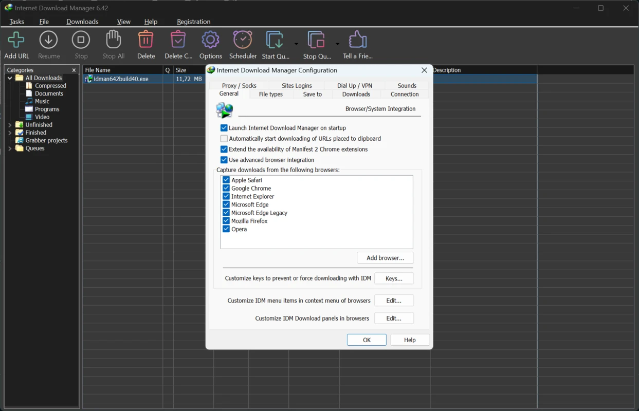 Internet Download Manager 6 IDM Free Download screenshot