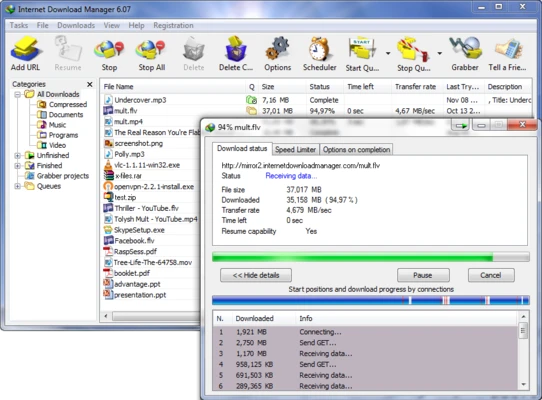 Internet Download Manager 6 IDM Free Download screenshot